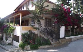 Golden Pension